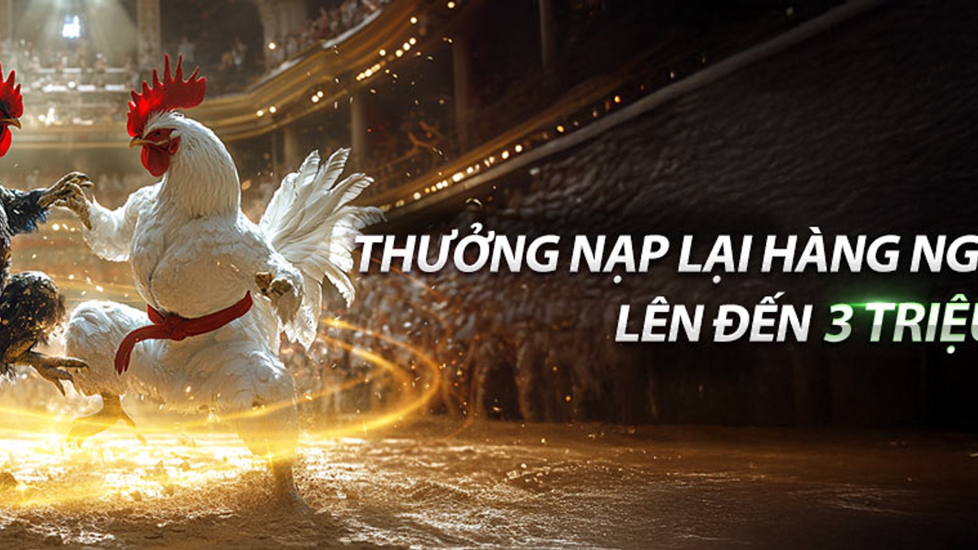 Biểu tượng hoàn trả hàng ngày và hàng tuần của GO99