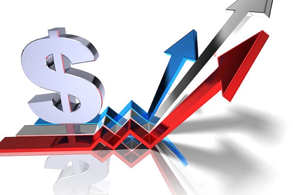 Hướng dẫn chuyên nghiệp